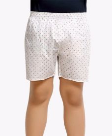 Boxer