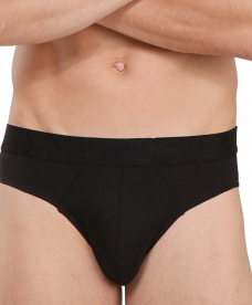 Brief